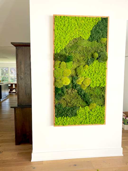 Moss Wall Art with combination of different mosses and colored moss near Indianapolis, Indiana