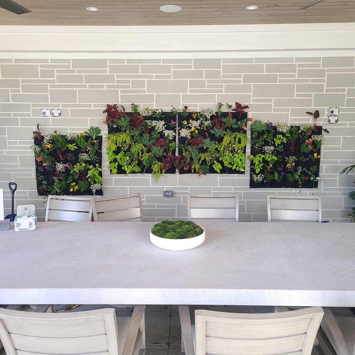 Living Wall