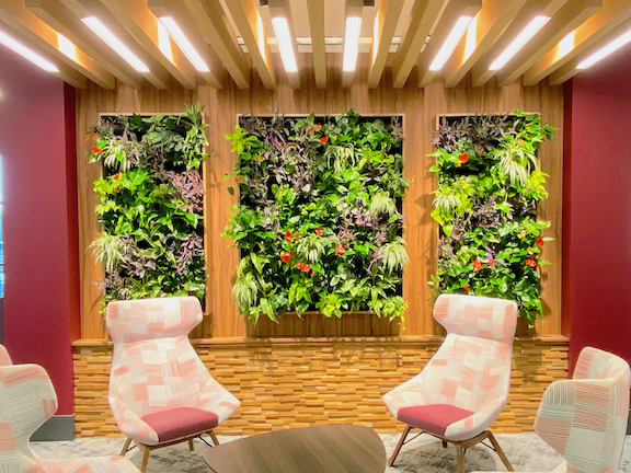 Three panel Living Wall displayed in office