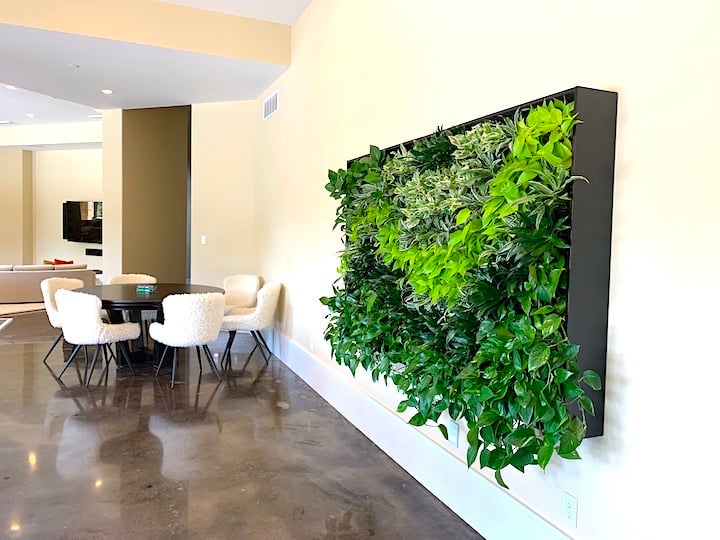 Living wall in a private resident's home