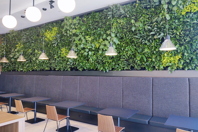 Living Wall at R1VER Offices