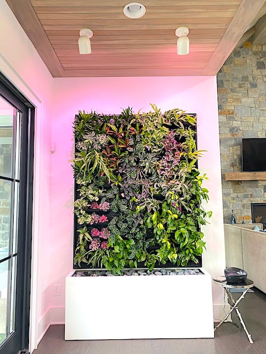 Indoor living wall with planter and grow lights